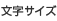 文字サイズ