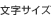 文字サイズ