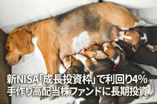 新NISA「成長投資枠」で利回り4％、手作り高配当株ファンドに長期投資