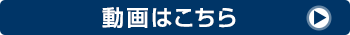 動画はこちら