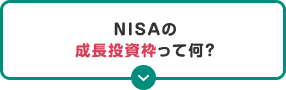 NISAの成長投資枠って何？