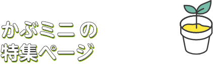 かぶミニ®の特集ページを参考に選ぶ