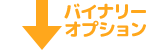 バイナリーオプション