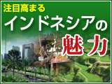 インドネシアの魅力