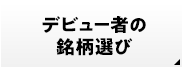 デビュー者の銘柄選び